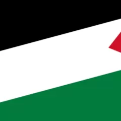 La Historia Detrás De La Bandera De Palestina: Significado Y Simbolismo