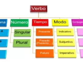 5 oraciones para practicar la identificación del verbo en español