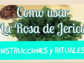 Descubre cómo utilizar la Rosa de Jericó en tus rituales y oraciones.